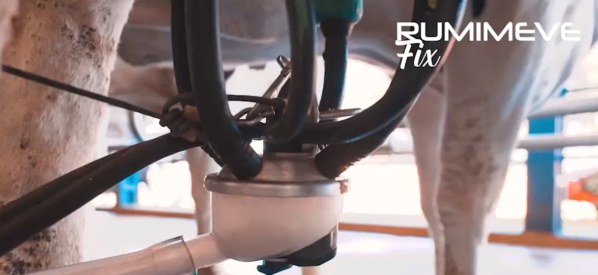 Rumimeve Fix - o premix, com probiótico e adsorvente de micotoxinas, ideal para a dieta dos bovinos.